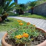 Olivia Ischia - Monolocali E Bilocali Nel Con Piscine E Vista Mare Ξενοδοχείο με διαμερίσματα