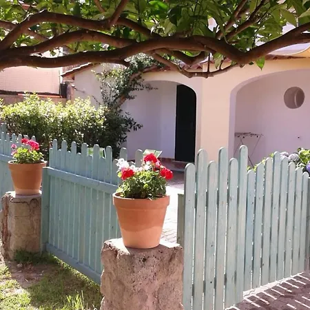 Olivia Ischia - Monolocali E Bilocali Nel Con Piscine E Vista Mare 3*