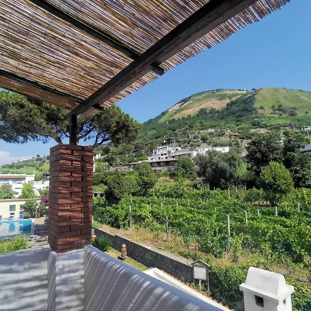 Olivia Forio (Isola d'Ischia)