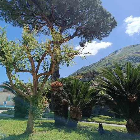 Aparthotel Olivia Forio (Isola d'Ischia)