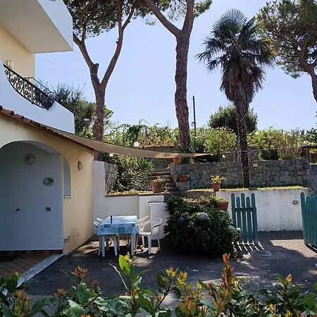 Olivia * Forio (Isola d'Ischia)