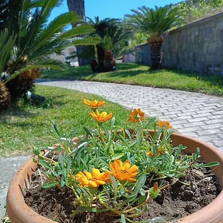 Olivia Ischia - Monolocali E Bilocali Nel Con Piscine E Vista Mare Aparthotel