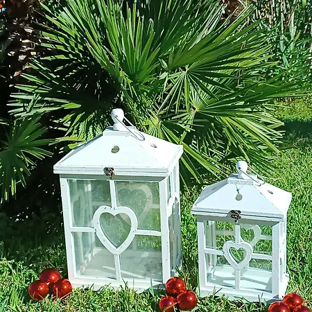 Olivia Aparthotel Forio (Isola d'Ischia)