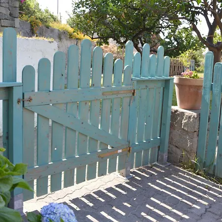 Olivia Ischia - Monolocali E Bilocali Nel Con Piscine E Vista Mare Апарт-отель Форио