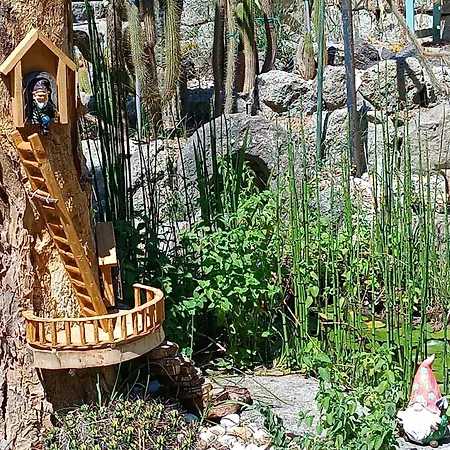 Olivia Ischia - Monolocali E Bilocali Nel Con Piscine E Vista Mare 4*