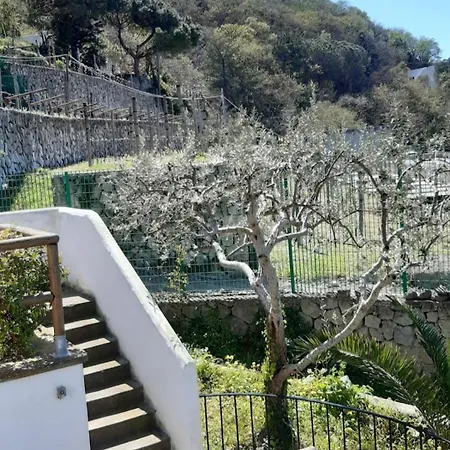 Olivia Ischia - Monolocali E Bilocali Nel Con Piscine E Vista Mare Aparthotel Forio di Ischia
