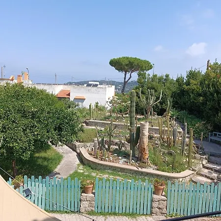 Olivia Ischia - Monolocali E Bilocali Nel Con Piscine E Vista Mare 4* Forio di Ischia
