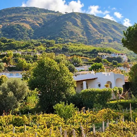 Olivia Ischia - Monolocali E Bilocali Nel Con Piscine E Vista Mare