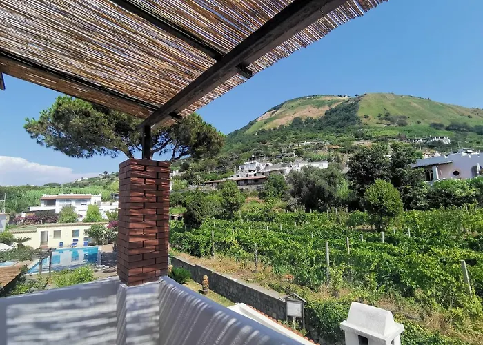 Olivia Ischia - Monolocali E Bilocali Nel Con Piscine E Vista Mare Форио