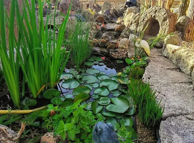 Olivia Ischia - Monolocali E Bilocali Nel Con Piscine E Vista Mare