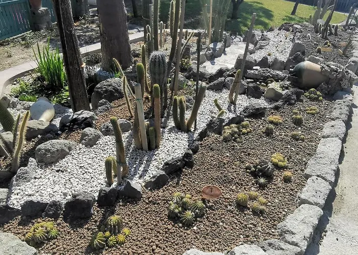 Апарт-отель Olivia Ischia - Monolocali E Bilocali Nel Con Piscine E Vista Mare Форио