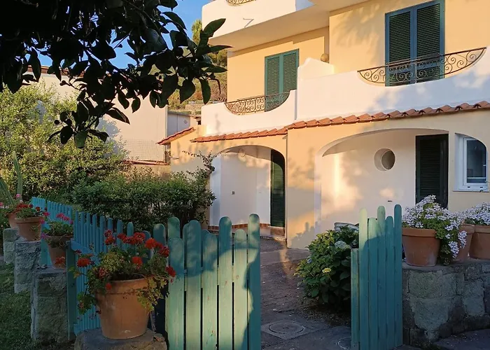 Olivia Ischia - Monolocali E Bilocali Nel Con Piscine E Vista Mare