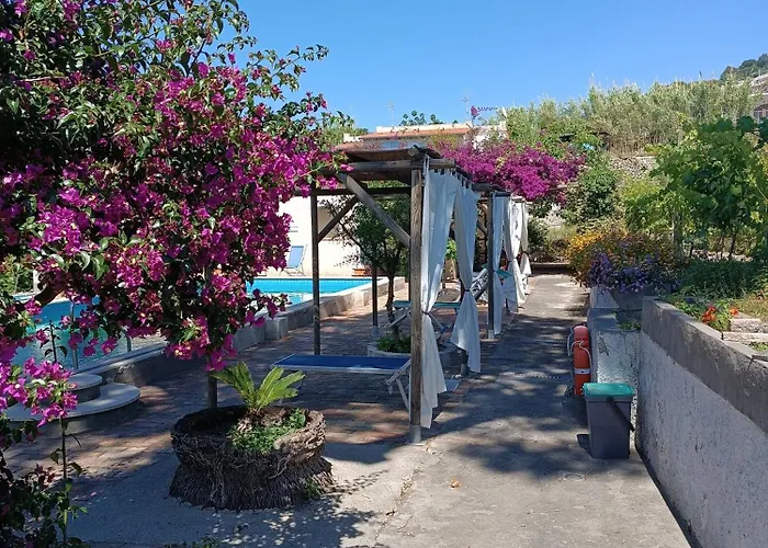 Olivia Ischia - Monolocali E Bilocali Nel Con Piscine E Vista Mare Форио