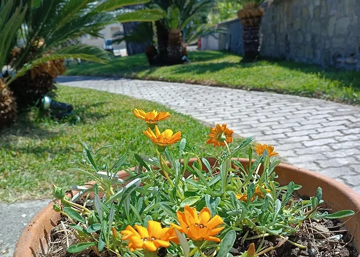 Olivia Ischia - Monolocali E Bilocali Nel Con Piscine E Vista Mare Апарт-отель