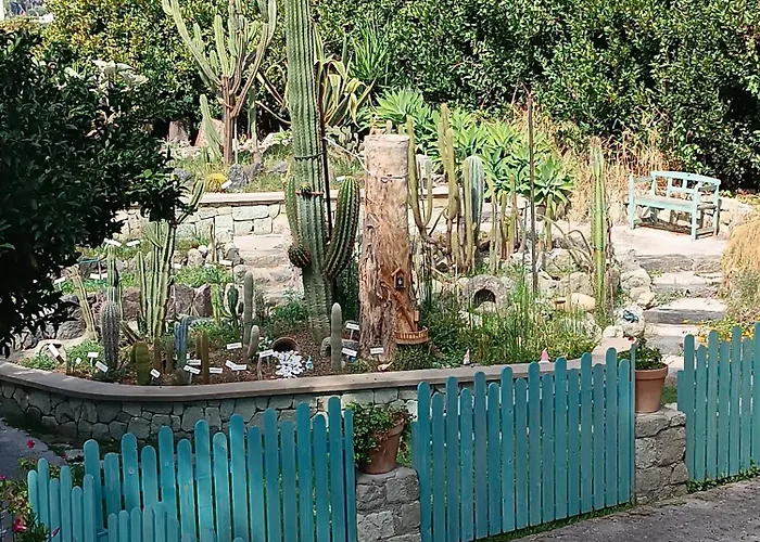 Olivia Ischia - Monolocali E Bilocali Nel Con Piscine E Vista Mare