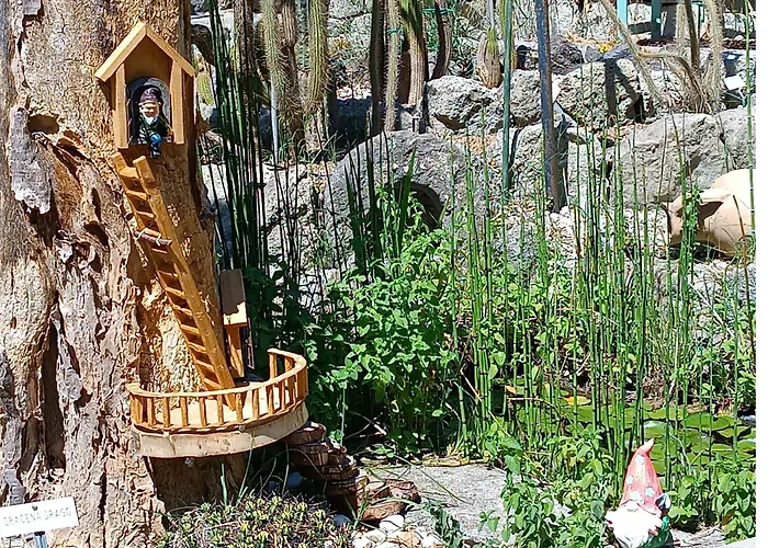 Olivia Ischia - Monolocali E Bilocali Nel Con Piscine E Vista Mare 4*